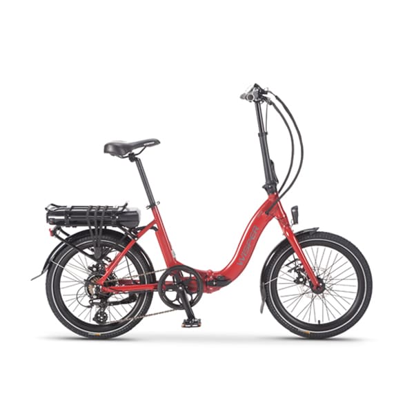 the electric bike