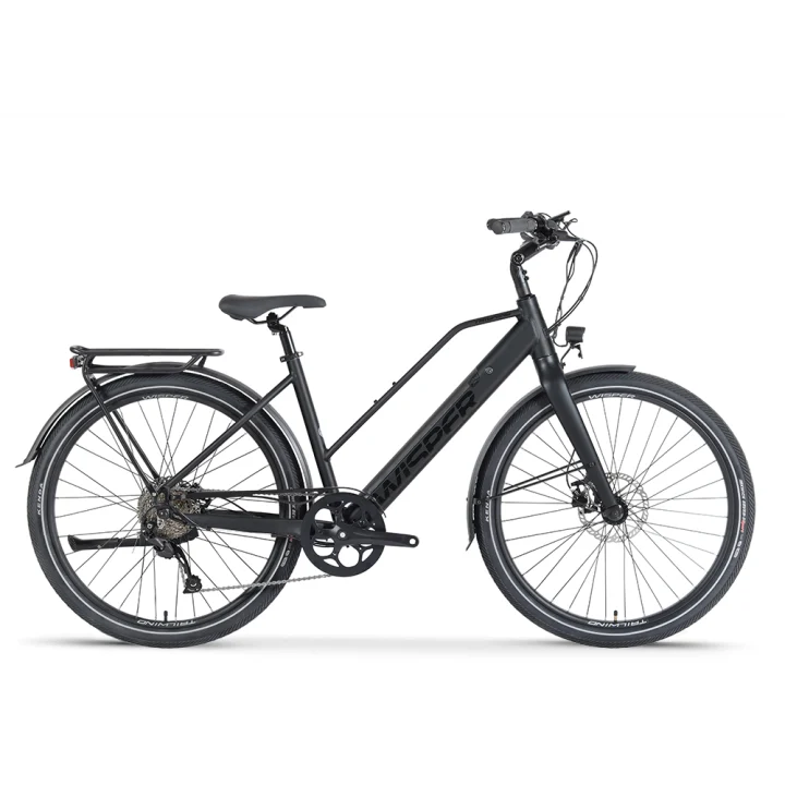 Tailwind City Low Crossbar E-Bike