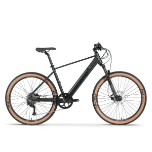 Tailwind Trail Crossbar E-Bike