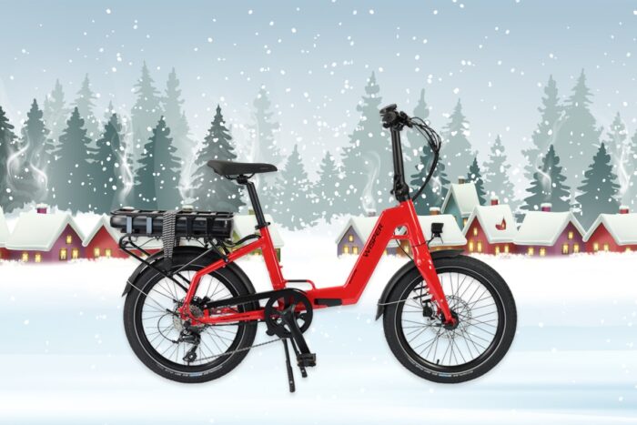 Winter Ebike